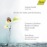 Concerto for Cello and Orchestra in B minor, op. 104: I. Allegro