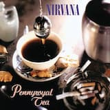 Pennyroyal Tea (remix)