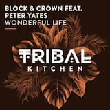 Wonderful Life - Original Mix