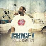 It’s Cricet’s Turn