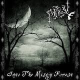 Into The Misty Forest. Part I: Midnight