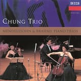 Piano Trio no. 1 in D minor, op. 49: I. Molto allegro agitato
