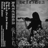 In Search for New Wisdom