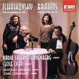 Trio in A minor, op. 50: II.A. Tema con variazioni: Variation IX: Andante flebile, ma non tanto