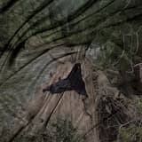 Stills (P. Morris Remix)