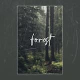 forest.