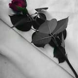 Where Do You Turn When Everything Falls Apart