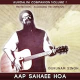 Aap Sahaee Hoa Meditation (short version)