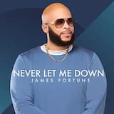 Never Let Me Down (Radio Edit)