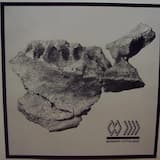 Brass Balls of Daedalus