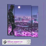 Never Sober Up (radio edit)