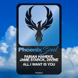 All I Want Is You (extended mix)