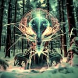 Landing Site Analysis