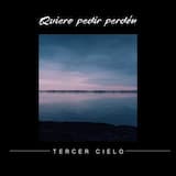 Quiero pedir perdón