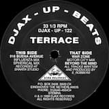 916 Buena Avenue (Influenza mix)