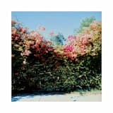 what i remember of san francisco