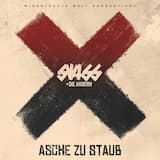 Asche zu Staub