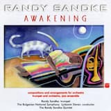 Cloudy (Homage to Bix)