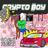 Crypto Boy
