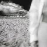 Humours of Cork / Mom's Jig / Annie's Carafe / The Road to Skye