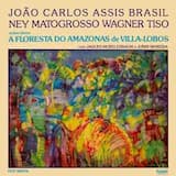 Suite I - Na Floresta: Abertura