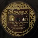 Saltin' Away My Sweet Dreams (Until My Sugar Comes Home to Me)