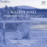 Symphony no. 12 "Luosto Symphony": I. Šamaanit
