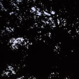 pain, pleasure, pain again.