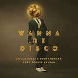 I Wanna Be Disco (radio edit)