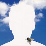 No. 31: III. Rhapsody