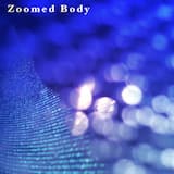z-body 1