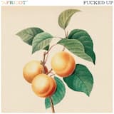 Apricot