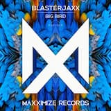 Big Bird (extended mix)