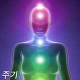 AUTO मोक्ष