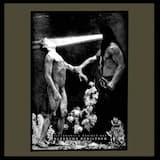 Friends in High Places