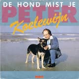 De hond mist je