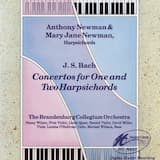 Concerto No. 1 in D Minor, S. 1052: I. Allegro