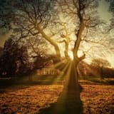 Echoes of Light 94seconds