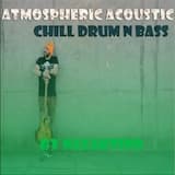 Atmospheric Acoustic Drum n bass