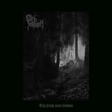 The Path Lies Hidden