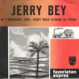 In ’t brandend zand (De legionnaire)