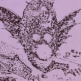 Don't Escape From Death