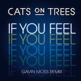 If You Feel (Gavin Moss remix)