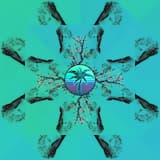 Ｆａｎｋｉ ファンキー