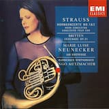 Konzert für Horn und Orchester Nr. 1 Es-dur, Op. 11: I. Allegro