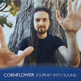 Journey Into Sound