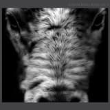 First Wave (Departing)