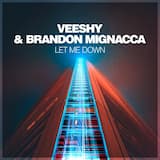 Let Me Down (Vocal Mix)