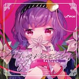 Angraecum -2020 Mix-