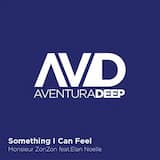 Something I Can Feel (Monsieur Zonzon Feeling Mix)